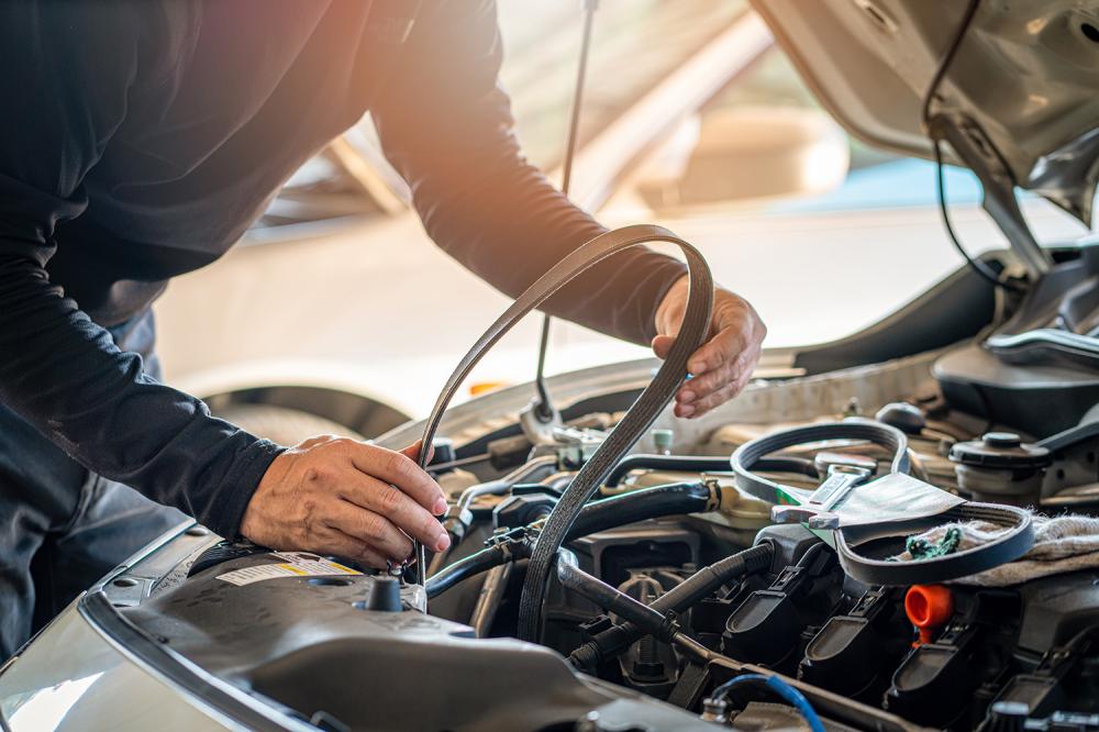 Expertise et savoir-faire à votre service